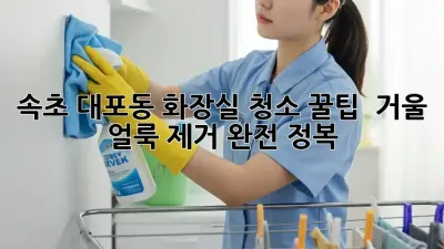 속초 대포동 화장실 청소 꿀팁 ✨ 거울 얼룩 제거 완전 정복!