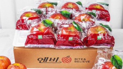 🍎 못난이 고당도 사과, 득템 후기! 놓치면 후회각! ✨