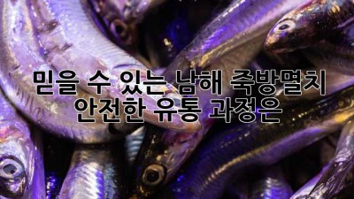 믿을 수 있는 남해 죽방멸치, 안전한 유통 과정은?