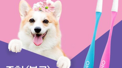 댕댕이 치아 건강 지킴이! 꿀팁 가득한 강아지이빨칫솔 후기🐶✨